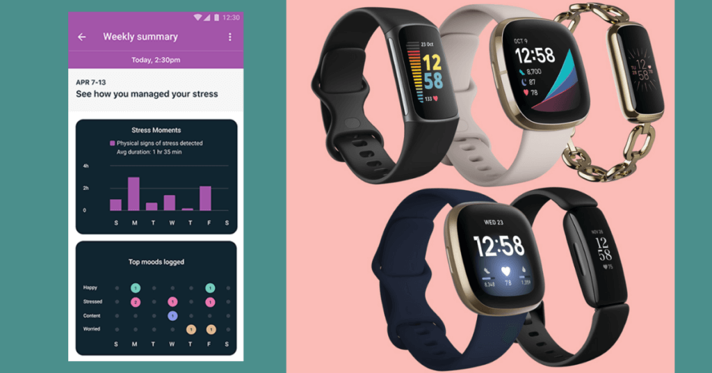 Fitbit Stress Management Discover The Path To Serenity