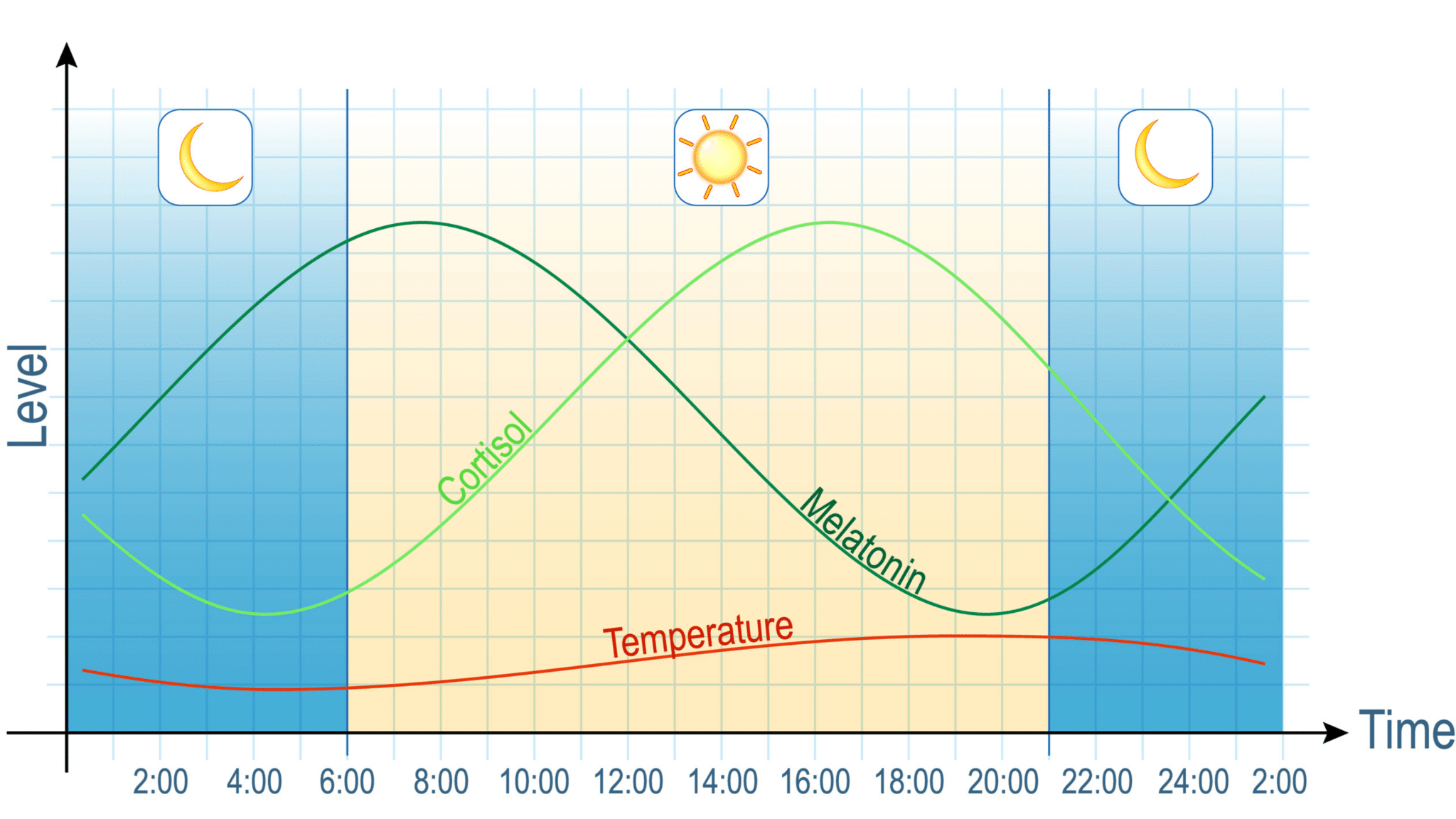 ¿Cuál es el nivel normal de cortisol?: Cómo entender el equilibrio