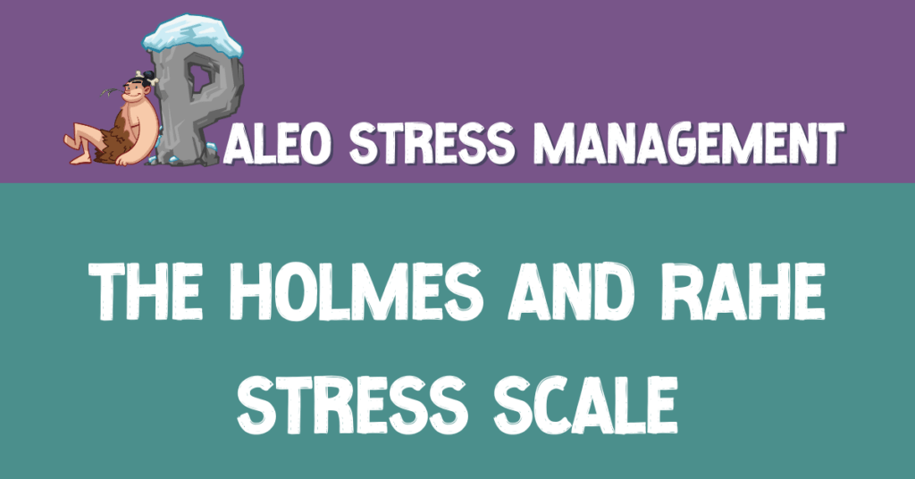 The holmes and rahe stress scale download (pdf)