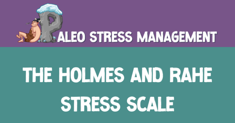 the-holmes-and-rahe-stress-scale-download-pdf