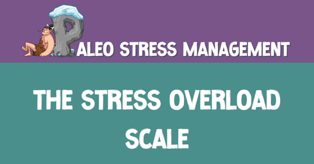 The stress overload scale download (pdf)