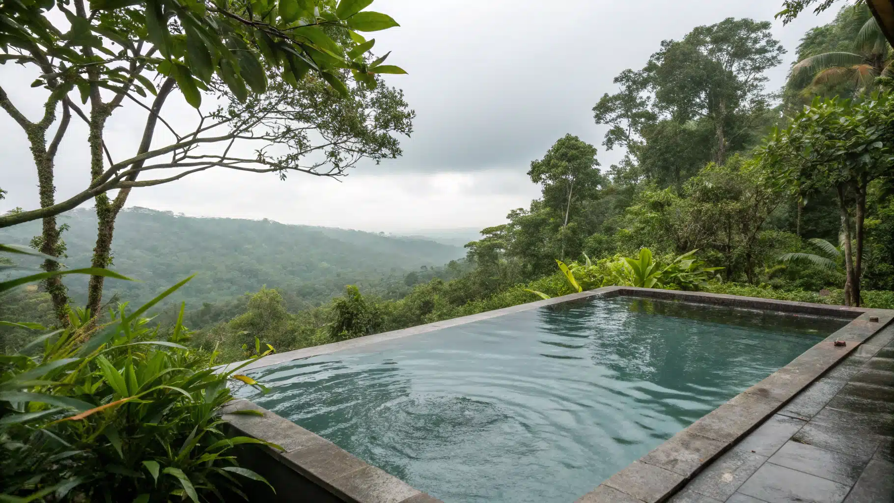 A tranquil cold plunge pool amidst lush greenery